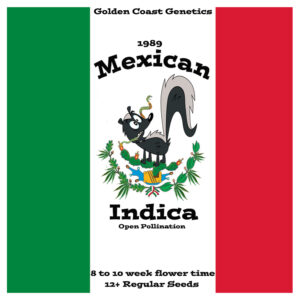 1989 Mexican Indica IBL (Open Pollination) 12 Regular Seeds