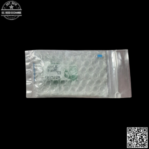 Green Team Genetics Milk Bone F3 Testers 10 Regular Seeds