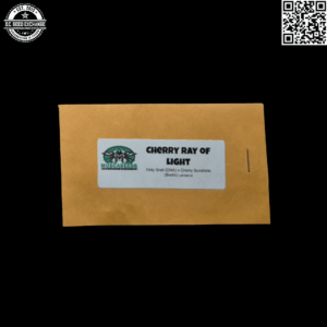 Mosca Seeds Cherry Ray of Light (Holy Grail × Cherry Sunshine) 5 Regular Seeds