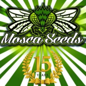 Mosca Seeds