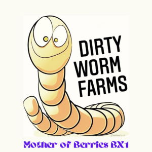 Mother of Berries BX1 20 Regular Seeds