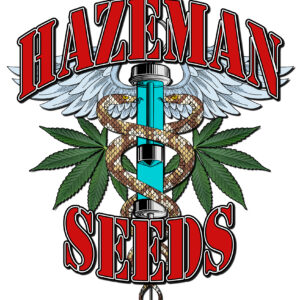 80s Skunk BX 12 Regular Seeds