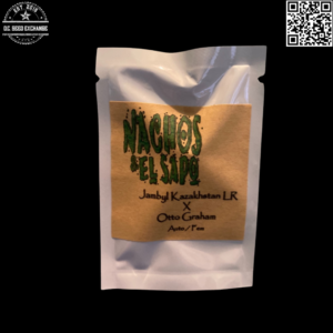 Nachos & El Sapo Jambyl Kazakhstan LR x Otto Graham 10 Feminized Autoflower Seeds
