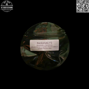 Nachos & El Sapo Backshots F2 (Drunk Driver x London Pound Cake) 12 Regular Seeds