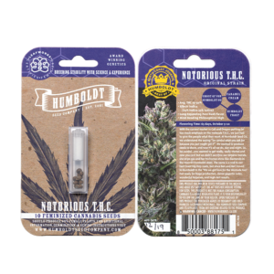 Notorious 10 Feminized Seeds