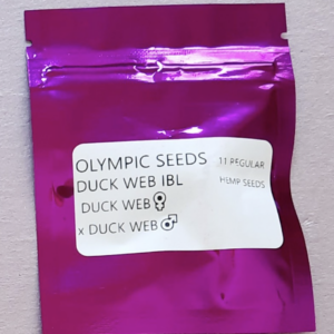 Olympic Seeds Duck Web IBL 10 Regular Seeds