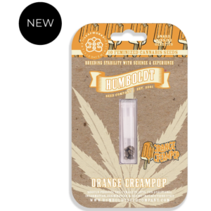 Orange Creampop F1 10 Feminized Seeds