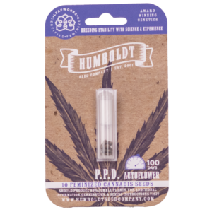 P.P.D Bx8 Auto 5 Feminized Autoflower Seeds