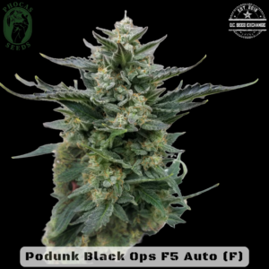 Podunk Black Ops F5 5 Feminized Autoflower Seeds