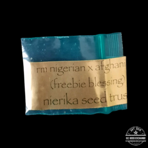 Nierika Seed Trust RM Nigerian x Afghani F2 11 Regular Seeds