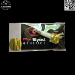 Red Eyed Genetics Locktite F1 (Gorilla Glue #4 x Mt. Rainer) 10 Regular Seeds