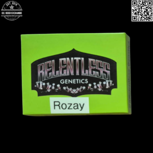 Relentless Genetics Rozay F1 (Sunset Sherbet x Purple Bomb) 11 Regular Seeds