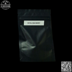 Emerald Mountain Legacy Royal Mauiberry F1 ([Blackberry Kush x Diesel Maui Dog] x Royal  Kush) 10 Regular Seeds