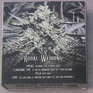 Emerald Mountain Legacy's Royal Wedding F1 12 Regular Seeds