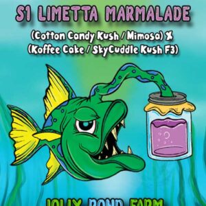 S1 Limetta Marmalade (Cotton Candy Kush/Mimosa x Koffee Cake/SkyCuddle Kush F3) 3 Feminized Seeds