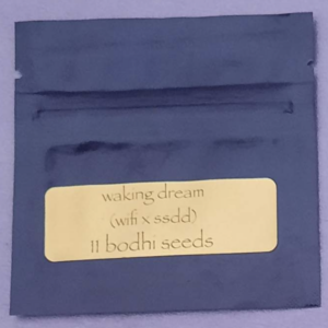Bodhi Seeds Waking Dream F1 11 Regular Seeds