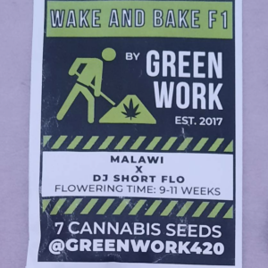 Green Work Wake and Bake F1 7 Regular Seeds