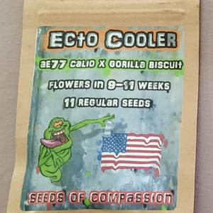 Seeds of Compassion Ecto Cooler F1 11 Regular Seeds
