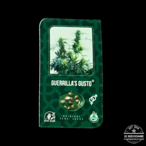 Sensi Seeds Guerrilla's Gusto 10 Regular Seeds
