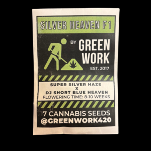 Greenwork Collective Silver Heaven F1 7 Regular Seeds