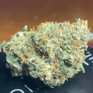 Sirius Blue F1 Auto 3 Feminized Autoflower Seeds