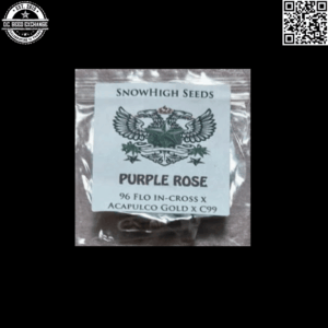 SnowHigh Seeds Purple Rose (Flo [1996] x Acapulco Gold x Cinderella 99) 10 Regular Seeds