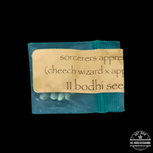 Bodhi Seeds Sorcerers Apprentice F1 (Cheech Wizard x Appalachia) 11 Regular Seeds