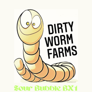 Sour Bubble BX1 15 Regular Seeds