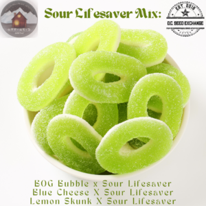 Sour Lifesaver Mix 15 Regular Seeds