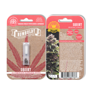 Squirt Bx3 10 Feminized Seeds