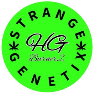 Rhino Thunder F1 (White Rhino x 1974 MTF) 10 Regular Seeds