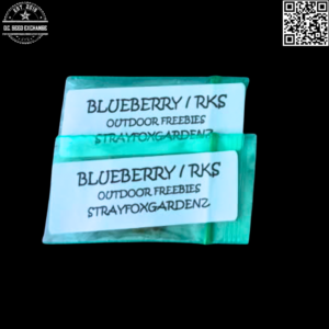 Strayfox Gardenz Blueberry/Roadkill Skunk 14 Regular Seeds