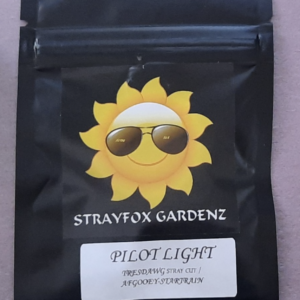 Strayfox Gardenz Pilot Light F1 10 Regular Seeds
