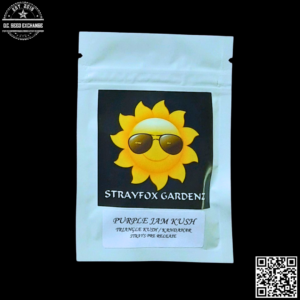 Strayfox Gardenz Purple Jam Kush (Triangle Kush x Kandahar) 10 Regular Seeds