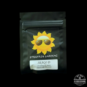 Strayfox Gardenz Iraqi D F1 (Chemdog D x Iraqi) 10 Regular Seeds