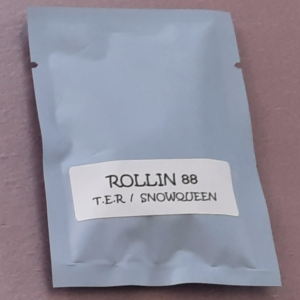 Strayfox Rollin 88 F1 11 Regular Seeds