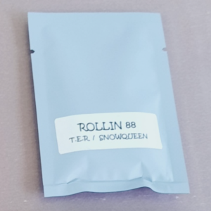 Strayfox Rollin 88 10 Regular Seeds