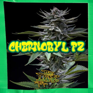 Chernobyl F2 5 Feminized Seeds