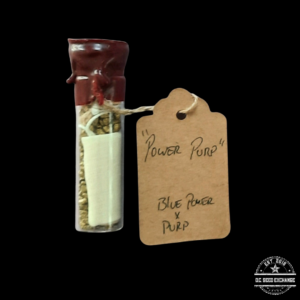 Sunken Treasure Seeds Power Purps F1 (Blue Power x Mendo Purps) 12 Regular Seeds