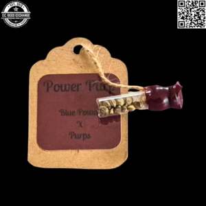 Sunken Treasure Seeds Power Purp (Blue Power x Mendo Purps) 10 Regular Seeds