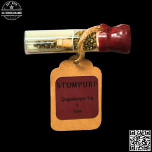 Sunken Treasure Seeds Stompurp (Grapestomper OG x Purps) 10 Regular Seeds