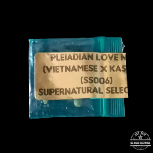 Supernatural Selections Pleiadian Love Nest (Vietnamese x Kashmir) 11 Regular Seeds