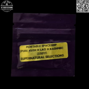 Bodhi Seeds "Supernatural Selections" Portable Spaceship (Pure Kush x Lao x Kashmir) 11 Regular Seeds