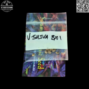 Swami Organic Seed V Shiva BX1 12 Regular Seeds