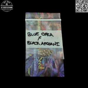 Swami Organic Seeds Blue Orca x Black Afghani 10 Regular Seeds