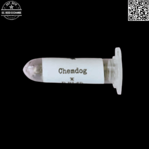 Swami Organic Seeds Chemdog x D Northern Lights #5 12 Regular Seeds