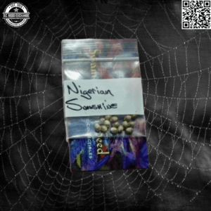 Swami Organic Seeds Nigerian Sunshine 12 Regular Seeds