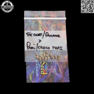 Swami Organic Seeds The One/Panama x Pakistan/Chocolate Thai 15 Regular Seeds