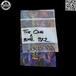 Swami Organic Seeds The One x Blue Moon Rocks BX2 15 Regular Seeds