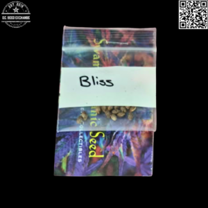 Swami Organic Seeds Bliss F1 (Blue Orca x (The Black x 91 NL#5/Neville's Haze) 15 Regular Seeds
